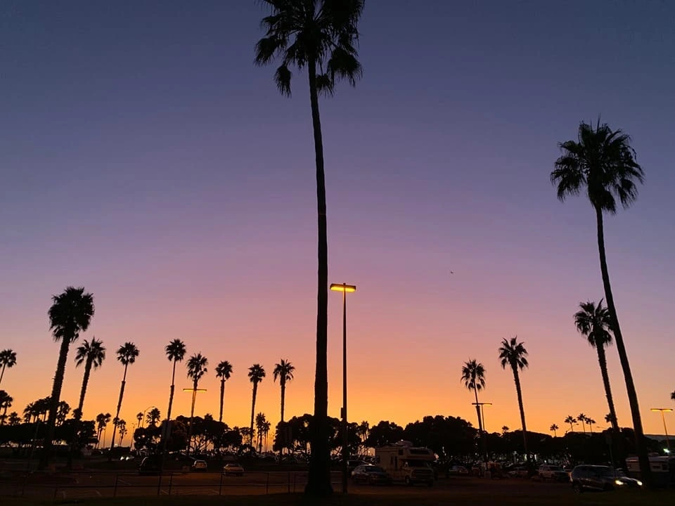 Silhouette de palmiers et de lampadaires sur un ciel aux couleurs vives de coucher de soleil (orange, rose et violet), évoquant un paysage de rêve pour une publication Instagram engageante.