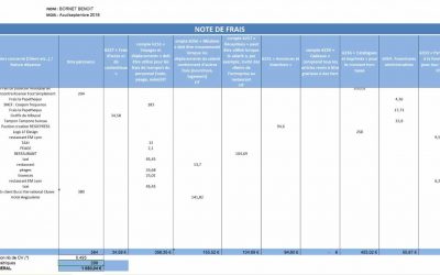 Comment gérer les frais kilométriques (IK) dans votre entreprise : méthode, outils et bonnes pratiques